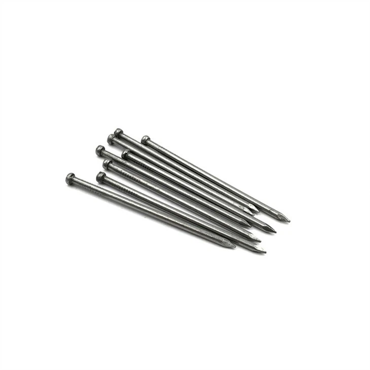 Stainless Steel Bullet Head Nails